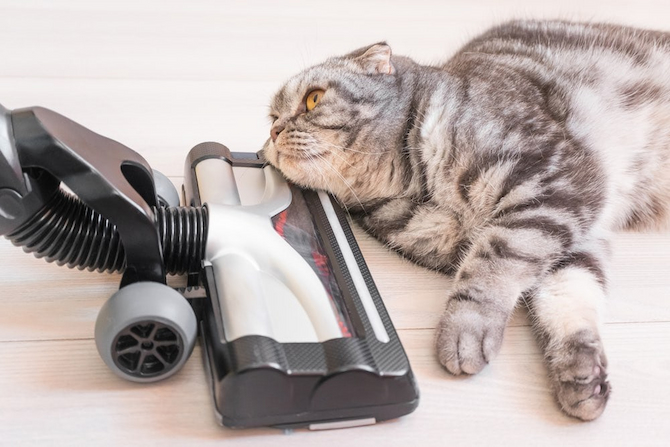 wet-vacuum-cleaner-image