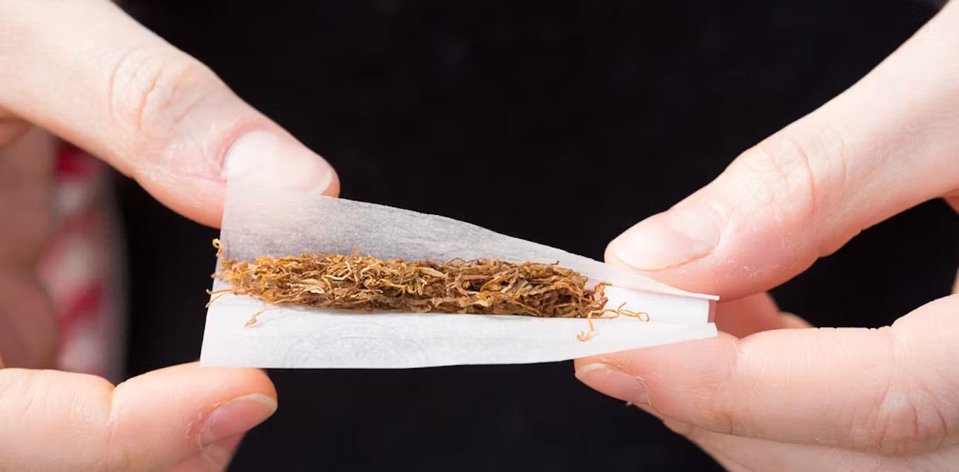 Close-up of hands holding a rolling paper filled with tobacco.