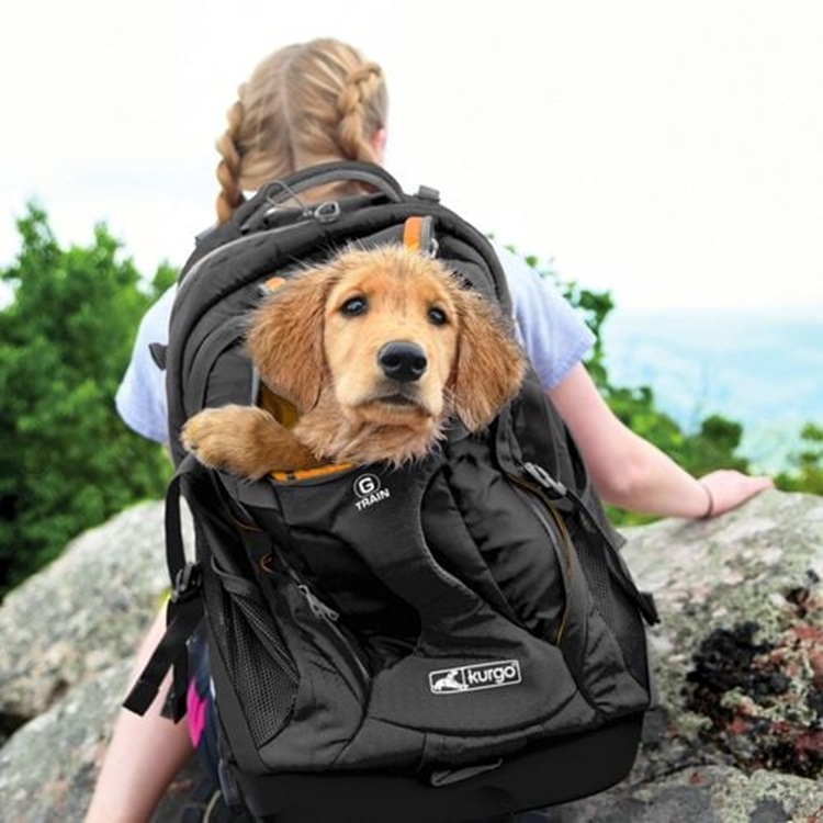 backpack black for dog carrier